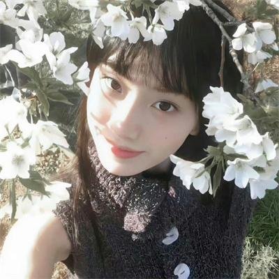 追鹰日记